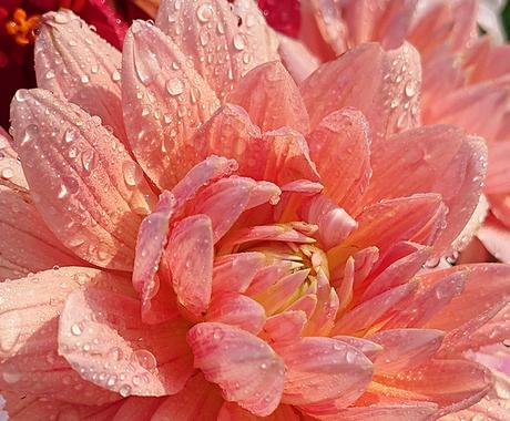 恋愛専科 相手を落とすためのバイブルを伝授します あなたと相手の本質に基づいた傾向や対策を中心とした攻略法 恋愛 ココナラ