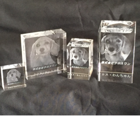 犬猫の写真で3dデータつくります ペットとの思い出を永遠に残します ペットイラスト作成 ココナラ