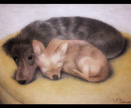 ペットの肖像画 似顔絵 イラストの描き方 教えます 色鉛筆でリアルなペットの肖像画を描きたい方 イラストレッスン アドバイス ココナラ