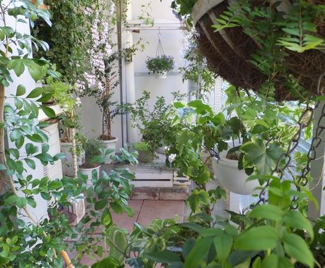 ベランダガーデニングのデザインをお手伝いします ベランダガーデニングの楽しみ方や注意点をアドバイス致します 住まい 賃貸 購入の相談 ココナラ