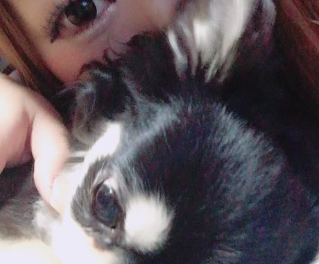 本当に一重なの 自然な二重にする方法 教えます 瞼の重い一重 奥二重 から二重メイクが困難な方へ メイク ネイル 各種ケアの相談 ココナラ