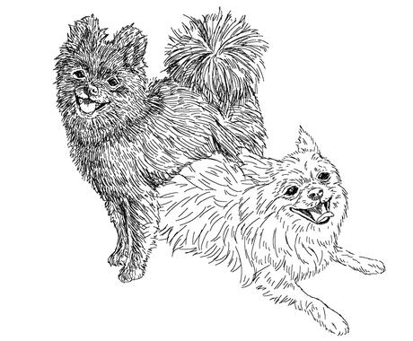どんな動物でも 可愛いペットをイラストにします 年賀状やsnsのアイコンなど 写真をもとに作成します ペットイラスト作成 ココナラ