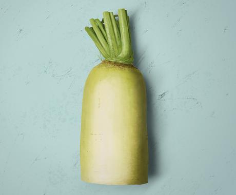 本物そっくりリアルなイラストお描きします リアルイラストレーターが写真のようなイラストお描きします イラスト作成 ココナラ