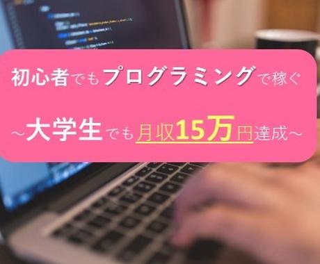 初心者でもプログラミングで稼ぐ方法教えます 大学生でも月収15万円達成した方法 副業 収入を得る方法 ココナラ