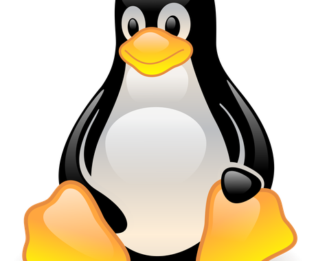 Bashスクリプト代行作成します サーバの簡単な定形作業は自動化できます プログラミング ソフトウェア ココナラ