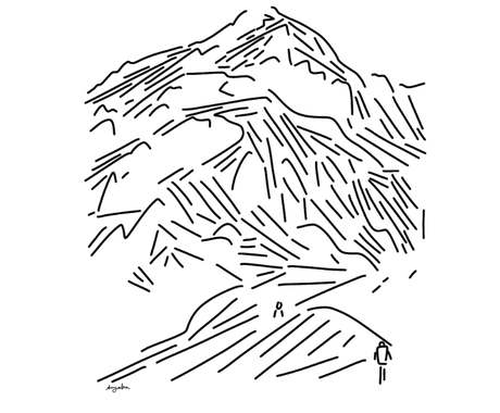 山や高山植物のイラストを線で描きます 草花や樹木 山など ご相談ください イラスト作成 ココナラ