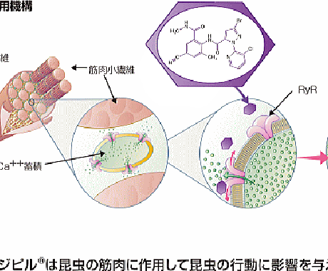 農家さん向けの肥料農薬に纏わるアドバイスを行います 肥料や農薬でお困りの方いませんか？ イメージ1