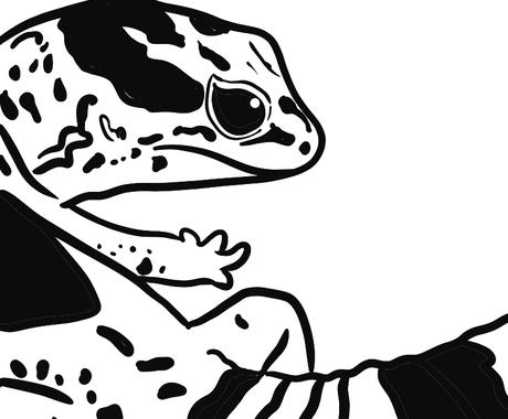 爬虫類好きにおすすめのイラストになります 現役飼育者目線からのイラストでご満足のいく作品を提供 アイコン作成 ココナラ