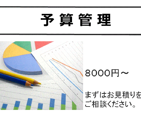 予算の管理とグラフ作成します 現役経理業務従事者です。PTA、サークル、個人事業に！ イメージ1