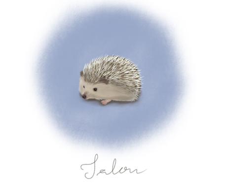 3ページ目 猫のイラストが今すぐ依頼できるイラストレーター ココナラ 3ページ目 猫のイラストが今すぐ依頼できるイラストレーター ココナラ