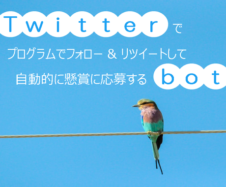 Twitter懸賞で自動応募するbotを提供します 面倒なフォロー リツイート作業からあなたを解放します その他 It プログラミング 開発 ココナラ