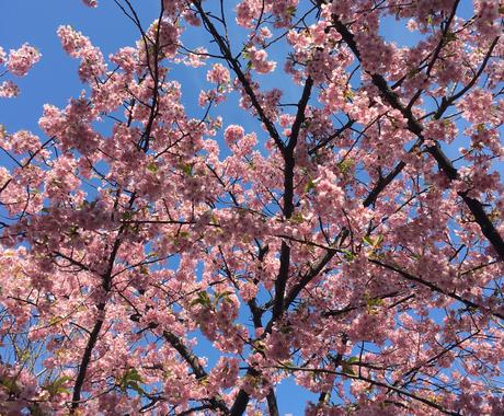 失恋の悩みや立ち直りに向けて相談のります 恋人と別れた 好きな人に振られた 不倫 浮気を終わらせた時 恋愛相談 アドバイス ココナラ