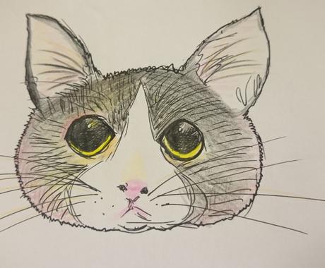 猫のイラストかきます ねこ大好きなひとにおすすめです ペットイラスト作成 ココナラ 猫のイラストかきます ねこ大好きなひとにおすすめです ペットイラスト作成 ココナラ