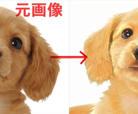 ペットのお写真をアニメ風に加工します ペットのお写真をアニメ風に加工します 修正1回無料 ペットイラスト作成 ココナラ