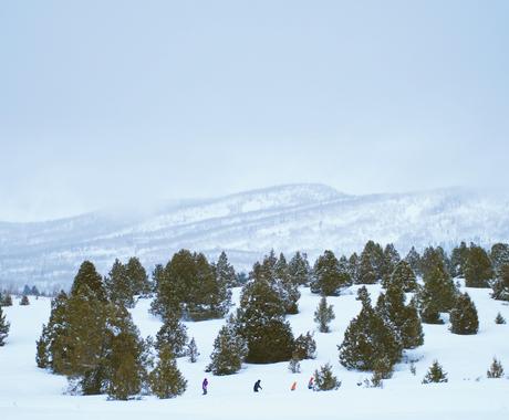 魂のレベル 転生回数 正確に鑑定します 潜在意識 13カ国で評価 スピリチュアル能力 輪廻転生 覚醒 人生 スピリチュアル ココナラ 魂のレベル 転生回数 正確に鑑定します 潜在意識 13カ国で評価 スピリチュアル能力 輪廻転生 覚醒 人生 スピリチュアル ココナラ