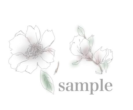 ドライフラワーイラスト描きます ショップカードやパッケージイラストなど用途は様々 イラスト作成 ココナラ