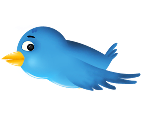 ツイッターで 000人以上にあなたの広告を１日最低6回15日間呟きます Snsマーケティング ココナラ