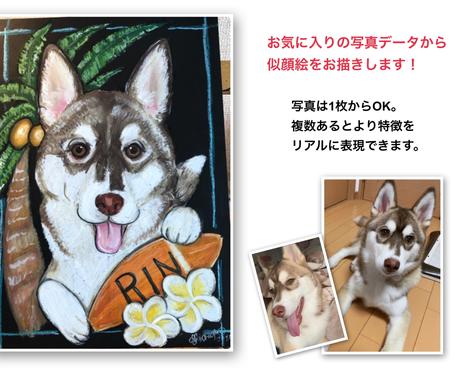 ペット似顔絵師 サイズのペット似顔絵描きます チョークアートで描くa4サイズペット似顔絵です ペットイラスト作成 ココナラ