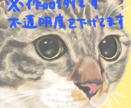 はがきサイズでねこちゃんのお顔イラスト描きます Snsアイコンサイズなど大きさ調整もok ペットイラスト作成 ココナラ