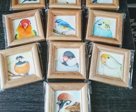 可愛いインコちゃんの似顔絵をお描きします リアルからデフォルメまで多様なイラストをお届けします ペットイラスト作成 ココナラ