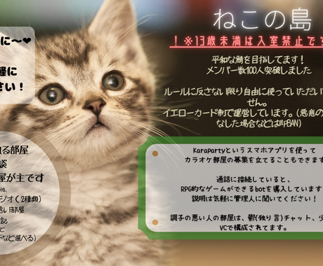 Discordのサーバー 公開botの設定します Discord運営歴1年です 副管理人などになれます Itサポート コンサル ココナラ