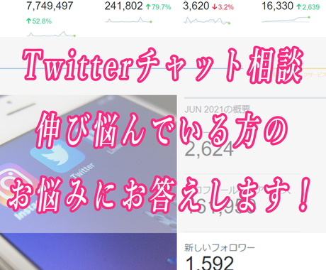 Twitterコンサル あなたのお悩みお聞きします フォロワー数3 1万人 平均月間インプレッション1000万 Snsマーケティング ココナラ