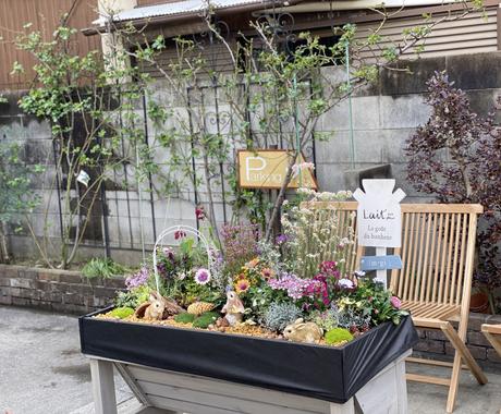 観葉植物 花壇のお花や植栽のアドバイスします 困ったことや映像からわかることをアドバイスとしてお伝えします 趣味 ゲームのアドバイス ココナラ