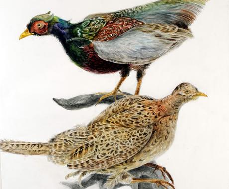 リアルな水彩画描きます ご自身の似顔絵や大切なあの人似顔絵 愛しいペットの絵など その他 イラスト 漫画 ココナラ