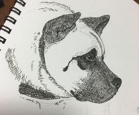 初回生産限定 ペンで描いたようなペットイラスト デジタル 予約販売 アート 写真 イラスト Arbaldas Lt