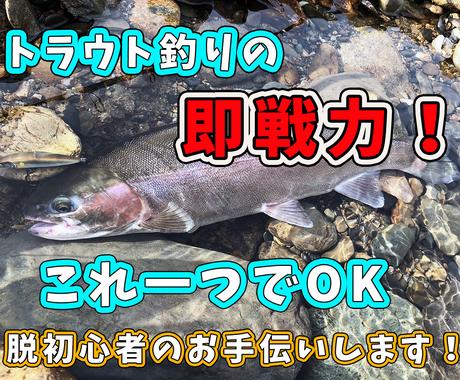 脱初心者 流行りの本流トラウト釣り方教えます 動画とpdfでお渡し さらに質問に直接お答えします 趣味 ゲームのアドバイス ココナラ