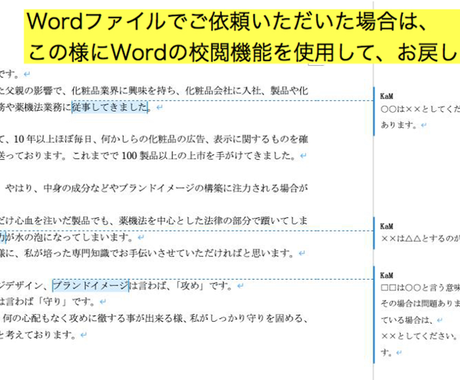 海外化粧品の日本への導入可否をアドバイスします 英語パッケージを見て 日本の薬機法への適合性を確認します 文章校正 編集 リライト ココナラ