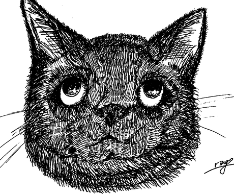 ペン画sns用アイコンやヘッダー描きます 病み可愛いがお好きな方へまた アイコンをお探しの方へ その他 イラスト 漫画 ココナラ