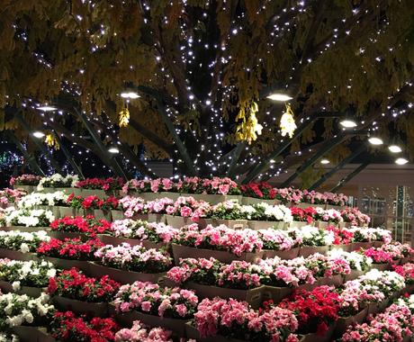 高校生女の子向けプレゼント選びます 誕生日などで女子高生の方に送る物を一緒に真剣に考えます その他 悩み 恋愛 話し相手 ココナラ