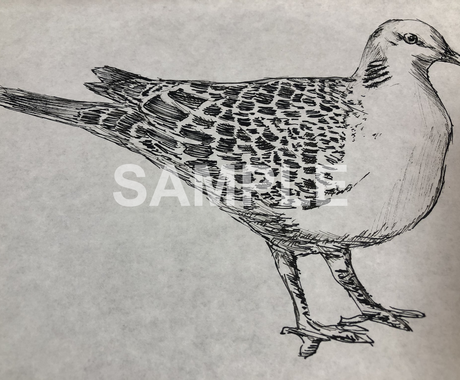 Twitter用アイコンを描きます 初回価格 アイコンを模写で安く描いて欲しい人を募集します アイコン作成 ココナラ