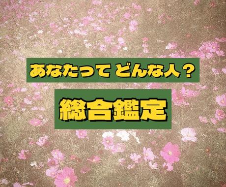 自己分析鑑定 あなたの本質占います 口癖も鑑定しちゃいます 可愛い鑑定書で結果をお届け 総合運 ココナラ