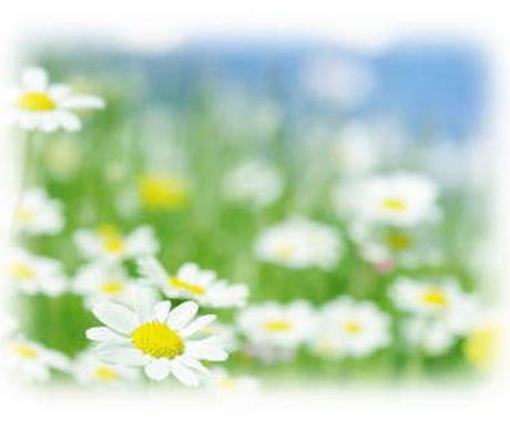 学校や家庭の悩み相談相手になります うつ 不登校 家庭環境最悪の状態経験あります 悩み相談 アドバイス ココナラ