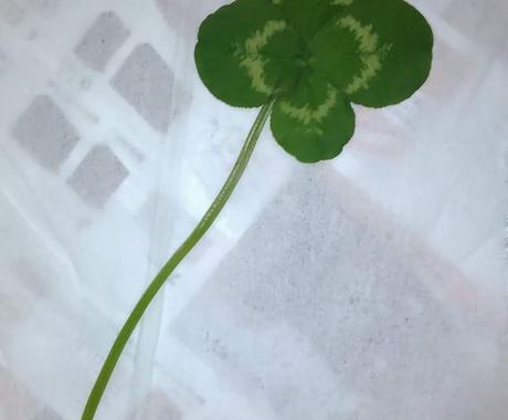 今の彼氏との将来が不安なあなたのお話お聞きします 彼氏が年下 フリーター等将来が見えない方 恋愛相談 アドバイス ココナラ