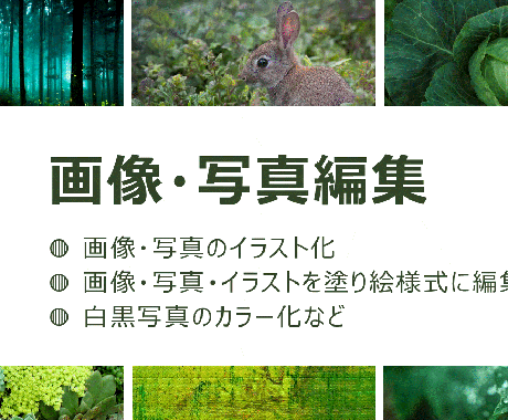 画像や写真の編集を承ります 写真をイラストに！画像をもとに塗り絵作成！白黒写真をカラーに イメージ1