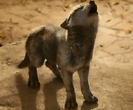 悩み苦しみこんな状態から変化したい意見が欲しいます 悩みや苦しみは独りでは脱出できない イメージ1