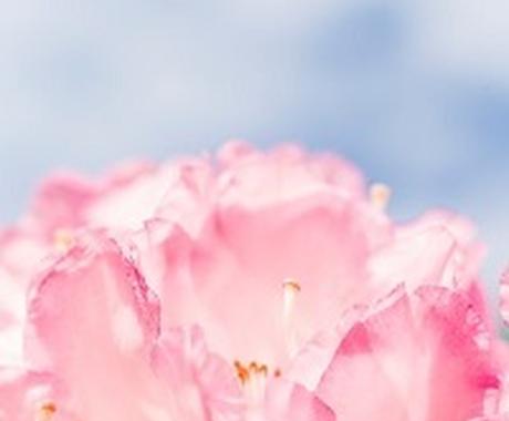 がんの不安 あなたに寄りそいます がんと診断されて 何をどうしていいかわからない方へ その他 悩み 恋愛 話し相手 ココナラ