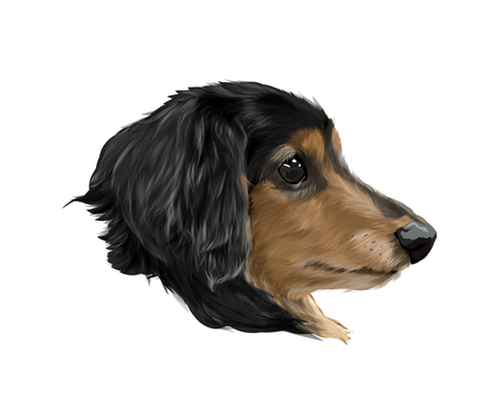 総合実績158件 自慢のペットをイラストにします Snsアイコンや壁紙 プレゼントにも ペットイラスト作成 ココナラ