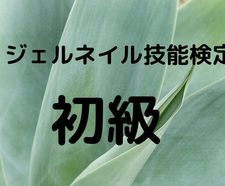 ジェルネイル検定初級教えます 独学の方もok 現役講師が直接お答えいたします メイク ネイル 各種ケアの相談 ココナラ ジェルネイル検定初級教えます 独学の方もok 現役講師が直接お答えいたします メイク ネイル 各種ケアの相談 ココナラ