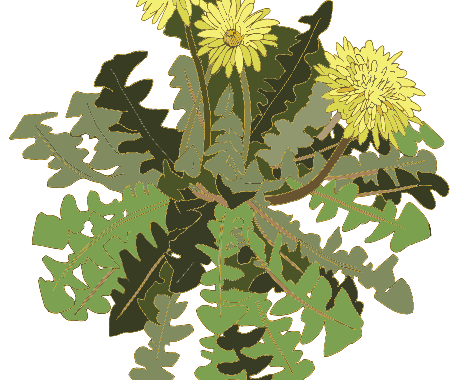 貴方の好きを絵にします 貴方の好きな動植物を、名刺、アイコンなどにしてみませんか？ イメージ2