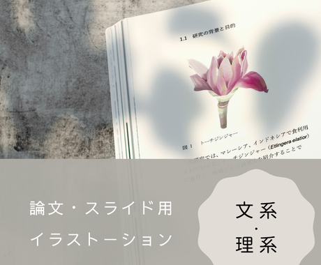 論文 学会発表用のイラスト描きます 文系 理系 イラストで研究内容を伝えるお手伝いをいたします イラスト作成 ココナラ 論文 学会発表用のイラスト描きます 文系 理系 イラストで研究内容を伝えるお手伝いをいたします イラスト作成 ココナラ