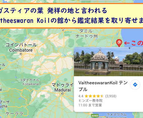 オンラインアガスティアの葉占いの申込み代行します 1章から アガスティアの葉に興味がある人 格安サポート その他 占い ココナラ