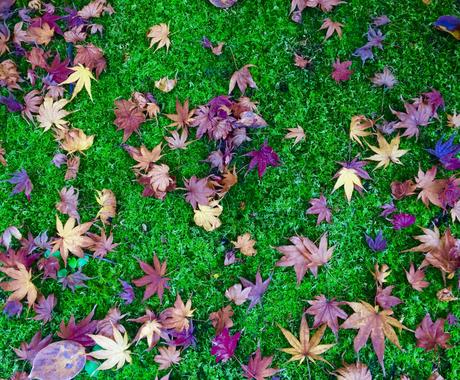 あなたの名前を歌詞に入れて歌います 歌の中に自分の名前やニックネームなどを入れて歌ってほしい方へ その他 音楽 ナレーション ココナラ