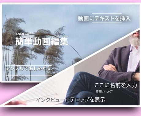 簡単で見やすい動画の編集 テロップ 音入れします 見る人に伝わる動画を作ります 動画編集 ココナラ