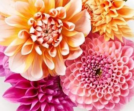 誕生花セラピーセッション 本来の自分を知りさらに新たな自分を知ってみませんか その他 占い ココナラ