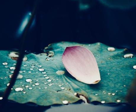 6種類 癒し系のエネルギーとご縁を紡ぎます 自分を愛する力 ドラゴン 観音さま ラブコクーン 苺水晶 人生 スピリチュアル ココナラ