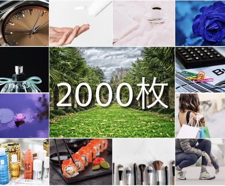 00枚の高品質著作権フリー画像をお渡しします 商用利用可能 ジャンル問わず大量のフリー素材を即日お届け 写真撮影 素材提供 ココナラ